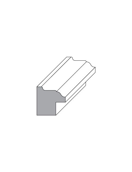 Back Band
