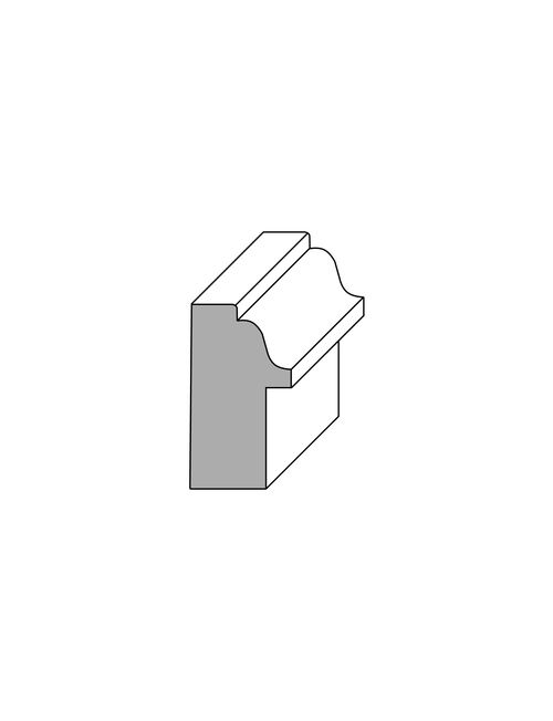 Back Band