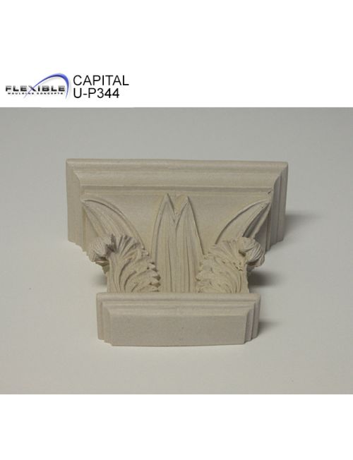 Capital