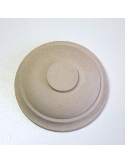 Medallion