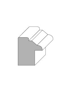 Back Band