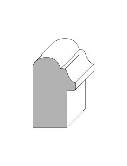 Back Band