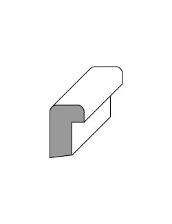 Back Band