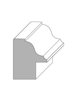 Back Band