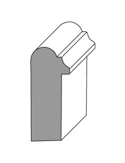 Back Band