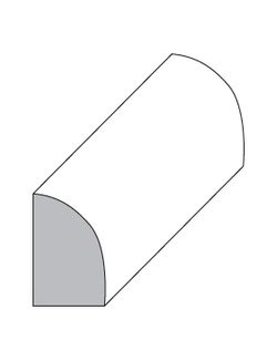Base Shoe