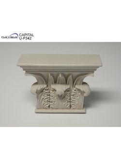 Capital
