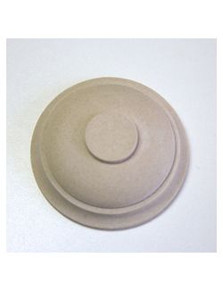 Medallion